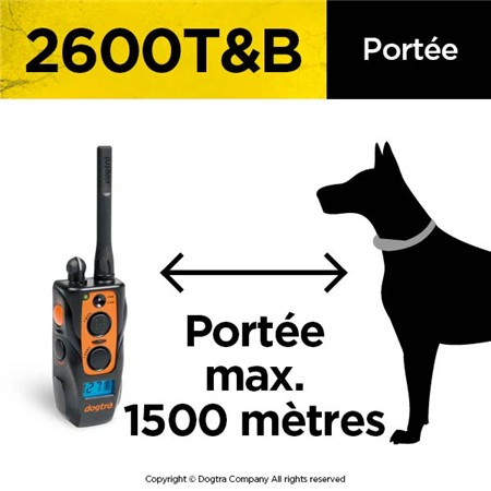 TRÆNINGSHALSBÅND DOGTRA 2600T&B