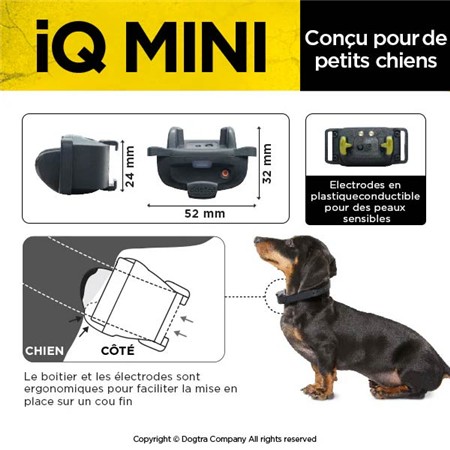 TRÆNINGSHALSBÅND DOGTRA IQ MINI