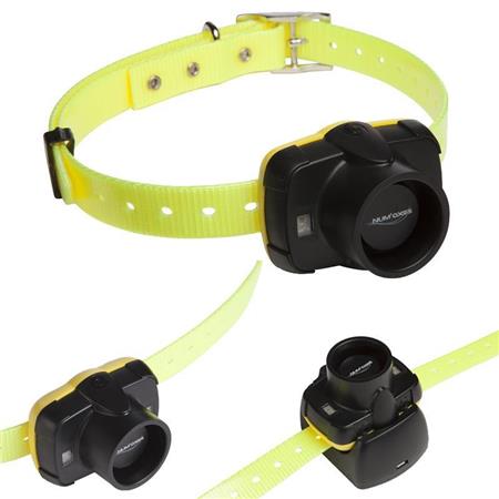 TRACEERHALSBAND NUMAXES CANIBEEP 5