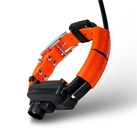 TRACKING COLLAR DOG TRACE GPS X25-B SHORT REMOTE CONTROL + COLLAR + BEEPER