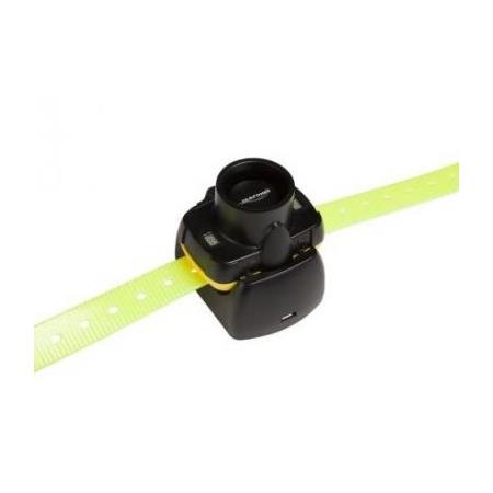 TRACKING COLLAR NUMAXES CANIBEEP 5