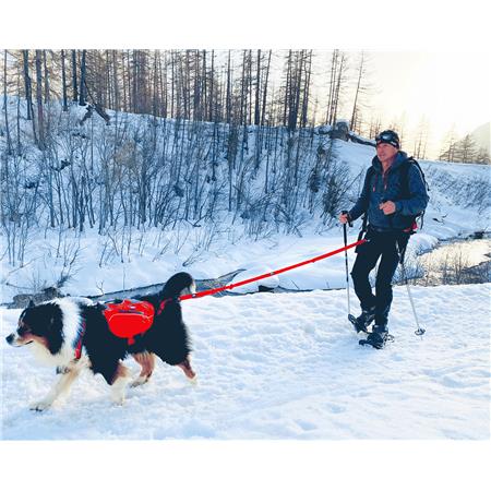 TRACTION LEASH I-DOG COMFORT TREK