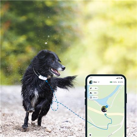 TRACTIVE GPS TRACTIVE DOG 4 - COLLIER GPS POUR CHIEN AVEC SUIVI D'ACTIVITÉ
