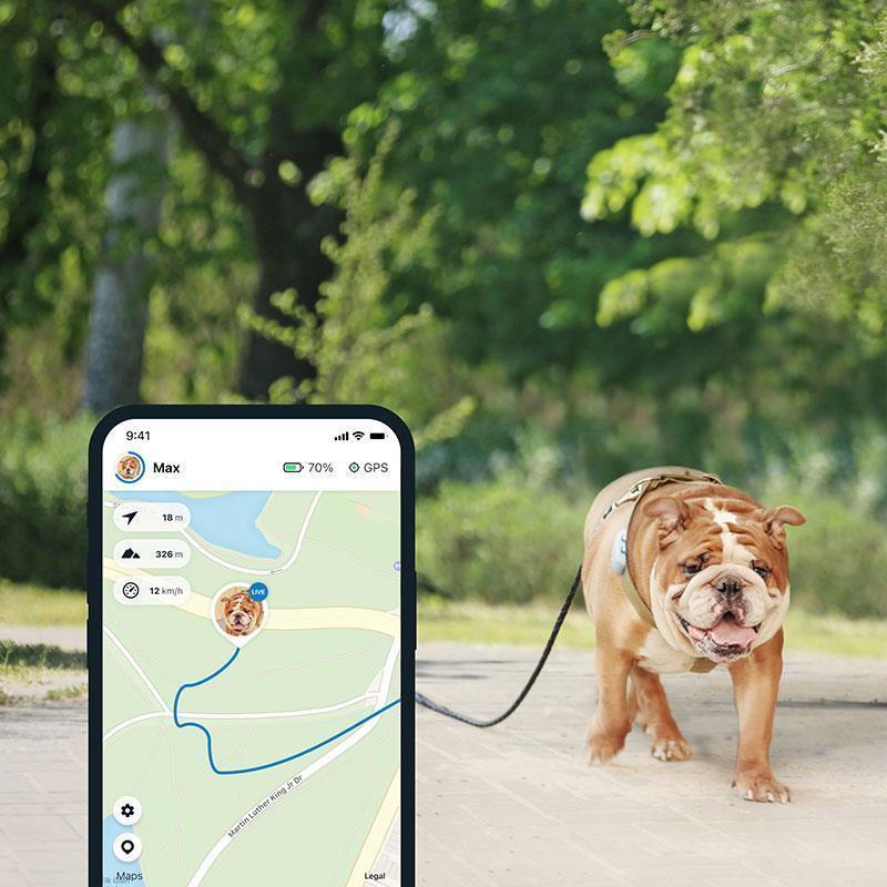 TRACTIVE - GPS DOG 4 - Collier GPS pour chien avec suivi d'activité