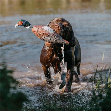 TRAGBAR EUROHUNT FASAN HP&G