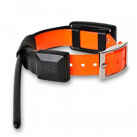 TRAINING COLLAR DOG TRACE GPS X30