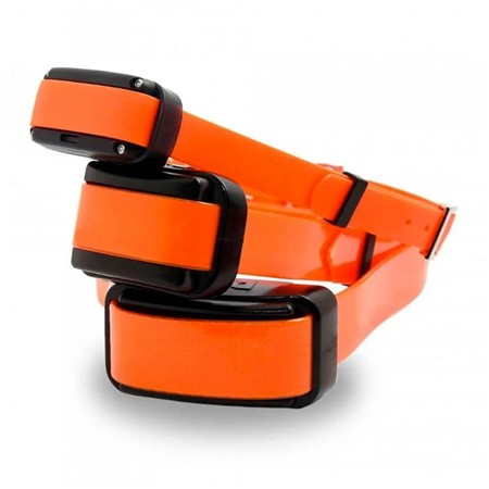 TRAINING COLLAR DOG TRACE PRO 1000 ONE+