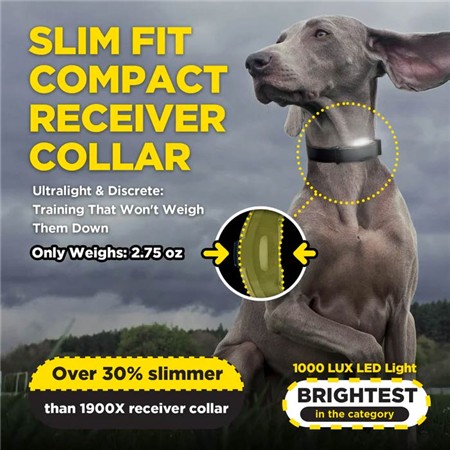 TRAINING COLLAR DOGTRA 1200X BLACK EDITION