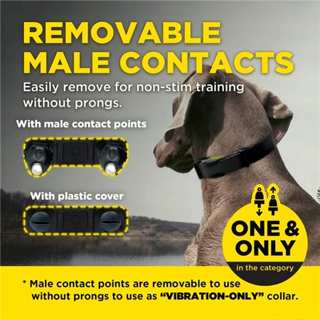 TRAINING COLLAR DOGTRA 1200X BLACK EDITION