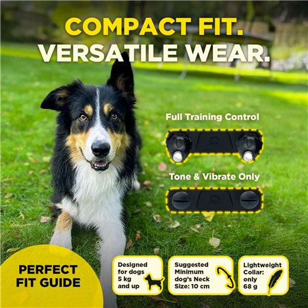 TRAINING COLLAR DOGTRA 600IQ 1