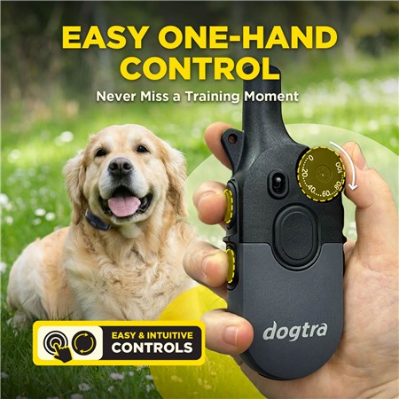 TRAINING COLLAR DOGTRA 600IQ 1