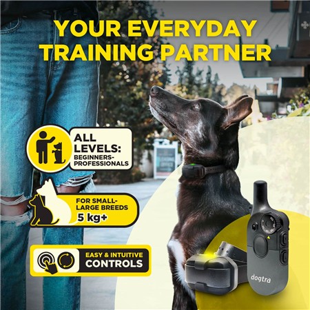 TRAINING COLLAR DOGTRA 600IQ 1