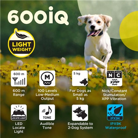 TRAINING COLLAR DOGTRA 600IQ 1