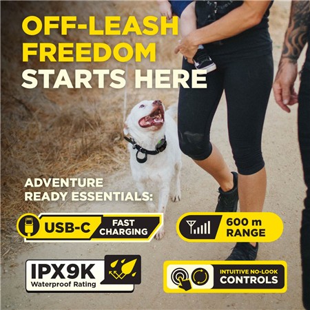 TRAINING COLLAR DOGTRA 600IQ - KIT 2 DOGS