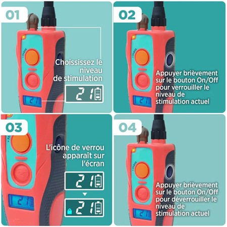 TRAINING COLLAR DOGTRA 640C TOM DAVIS EDITION