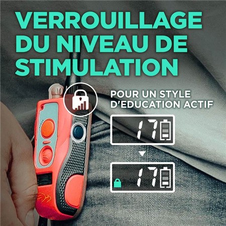 TRAINING COLLAR DOGTRA 640C TOM DAVIS EDITION