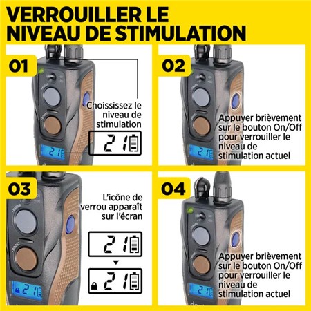 TRAINING COLLAR DOGTRA ARC 800 FREE PLUS