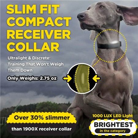 TRAINING COLLAR DOGTRA ARC-X KIT 2 CHIENS