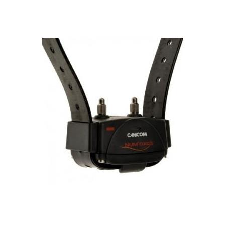 TRAINING COLLAR NUMAXES CANICOM 1500