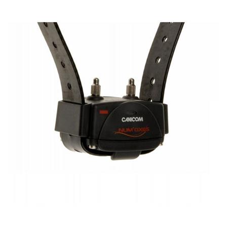 TRAINING COLLAR NUMAXES CANICOM 200 FIRST