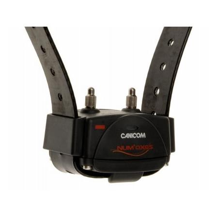 TRAINING COLLAR NUMAXES CANICOM 800 - 1 DOG