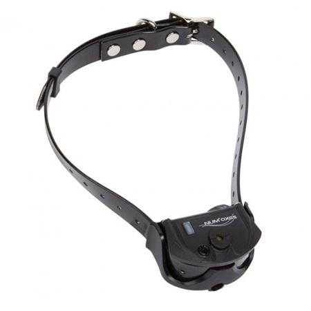 TRAINING COLLAR NUMAXES CANICOM SPRAY