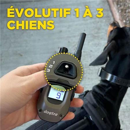 TRAININGSHALSBAND DOGTRA 1200X KIT 1 HUND