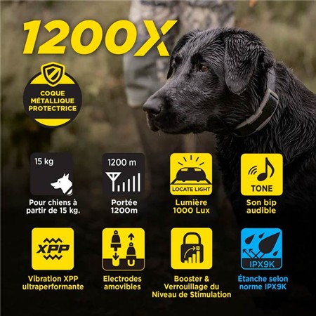 TRAININGSHALSBAND DOGTRA 1200X KIT 2 CHIENS