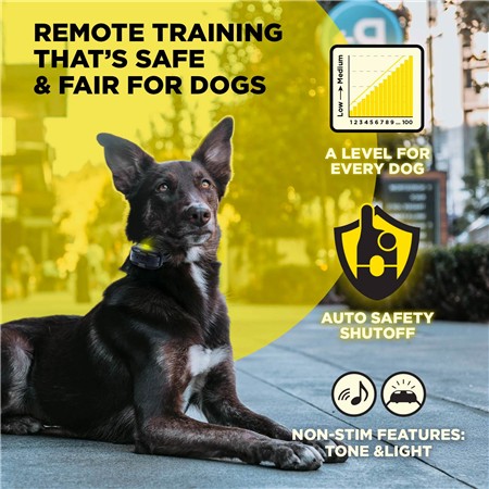 TRAININGSHALSBAND DOGTRA 600IQ 1