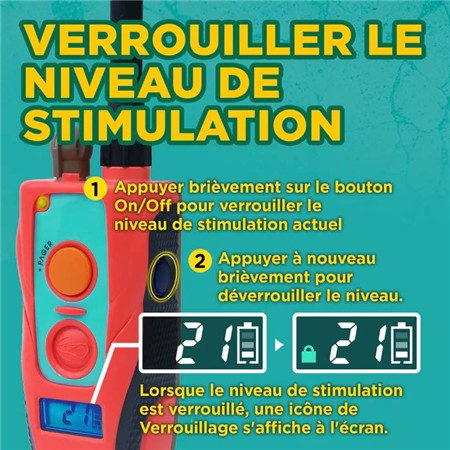 TRAININGSHALSBAND DOGTRA 640C TOM DAVIS EDITION