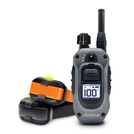 Trainingshalsband Dogtra 640X