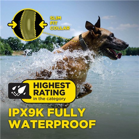 TRAININGSHALSBAND DOGTRA ARC-X KIT 1 HOND
