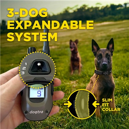 TRAININGSHALSBAND DOGTRA ARC-X KIT 1 HUND