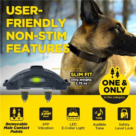 TRAININGSHALSBAND DOGTRA ARC-X KIT 2 CHIENS