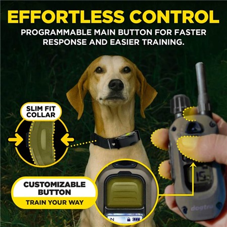 TRAININGSHALSBAND DOGTRA ARC-X KIT 2 CHIENS