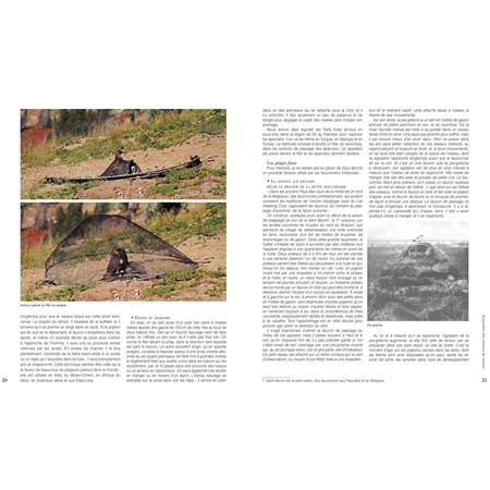 TRAITÉ DE FAUCONNERIE LE BAS-VOL TOME 2