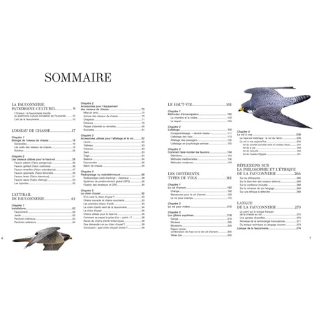 TRAITÉ DE FAUCONNERIE LE HAUT-VOL TOME 1