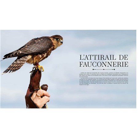 TRAITÉ DE FAUCONNERIE LE HAUT-VOL TOME 1