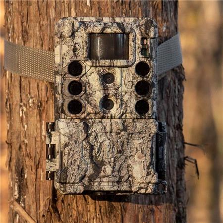 TRAPPOLA FOTOGRAFICA BUSHNELL CORE DS 4K