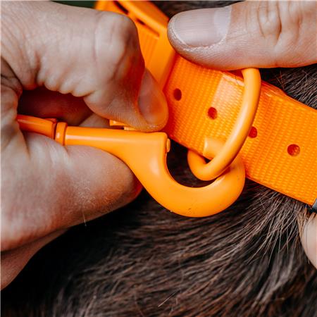 TRELA PARA CÃO EUROHUNT ÉTANCHE HP&G AVEC MOUSQUETON