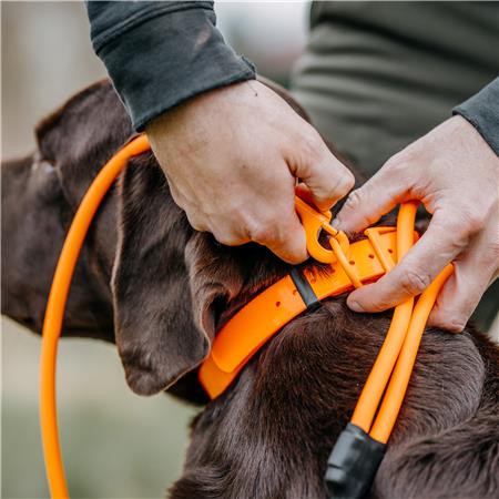 TRELA PARA CÃO EUROHUNT