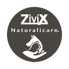 Zivix