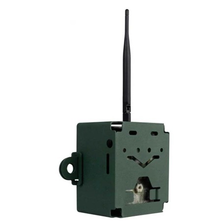 TYVERISIKRET KABINET TIL VILDTKAMERA ICU STEELPROTECT CAM5 & CAM6