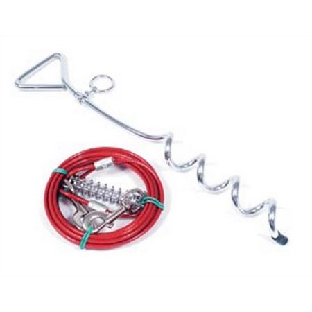 Vastlegpin En Kabel Voor Hond