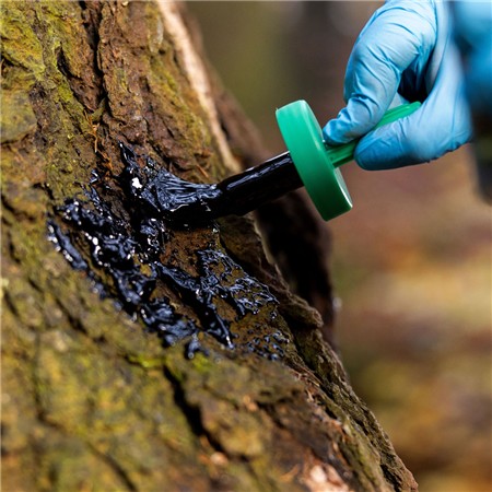 VEGETABLE TAR WEISSKIRCHEN WITH APPLICATION BRUSH - 500ML