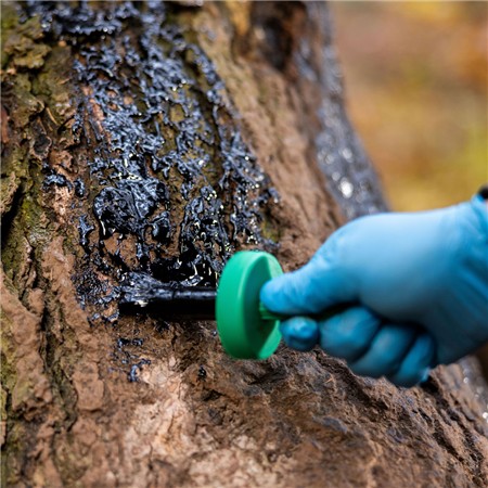 VEGETABLE TAR WEISSKIRCHEN WITH APPLICATION BRUSH - 500ML