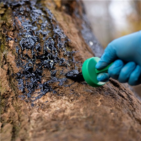 VEGETABLE TAR WEISSKIRCHEN WITH APPLICATION BRUSH - 500ML