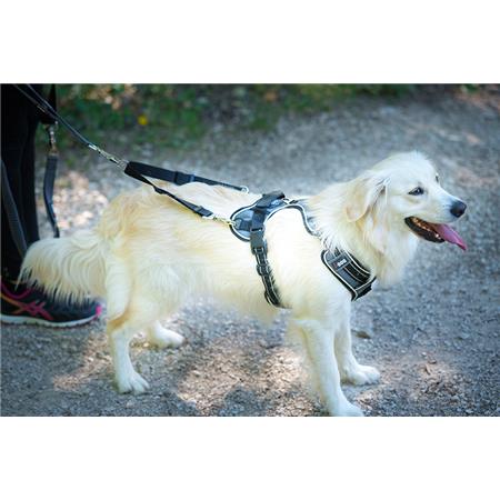 VERDELINGSSTUK I-DOG STYLE UPKA