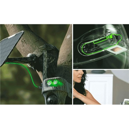 VILDTKAMERA REOLINK GO G450 MED 6 W SOLCELLEPANEL