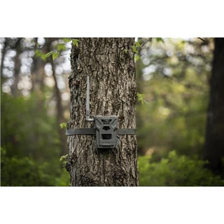 VILDTKAMERA SPYPOINT FLEX-M